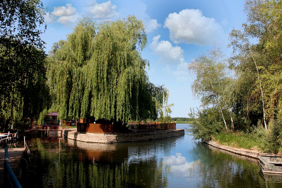 Березка, Ростовская область: фото 5