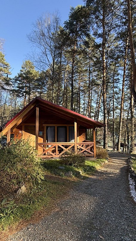 Сердце Алтая, Алтайский край: фото 3