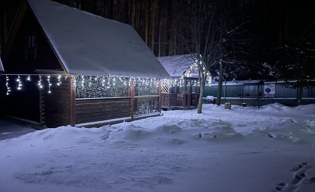 Волжское лесничество, Нижегородская область: фото 5