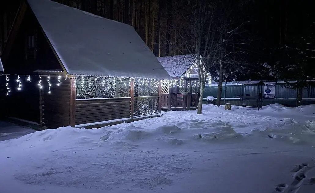 Волжское лесничество, Нижегородская область: фото 5