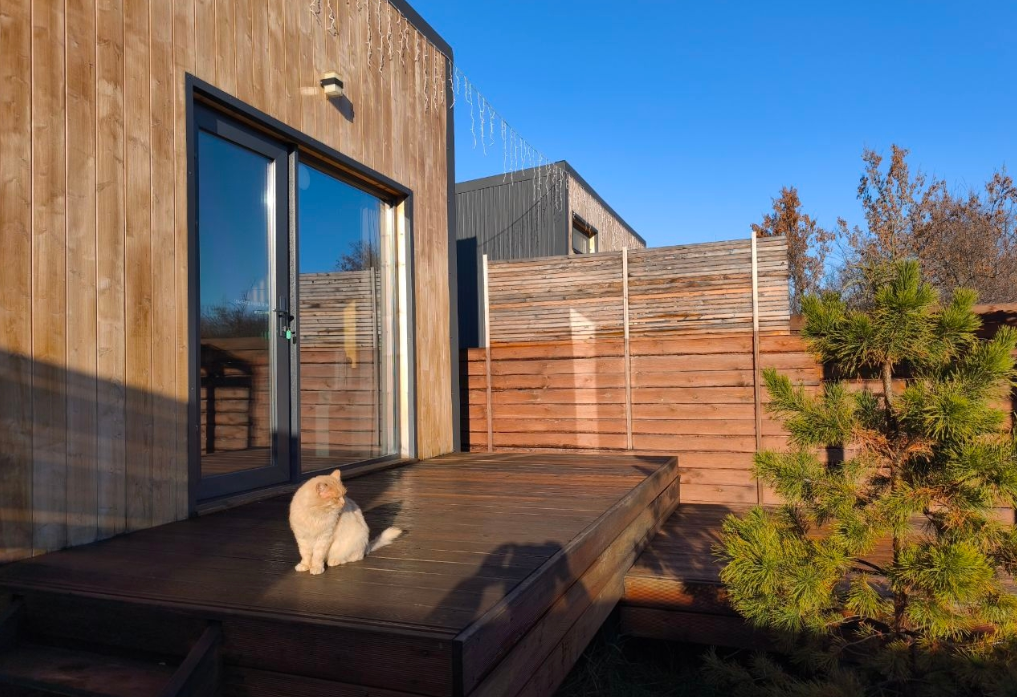 У реки, Самарская область: фото 3