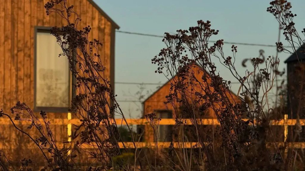 Глэмпинг Белый сад, Тамбовская область: фото 2