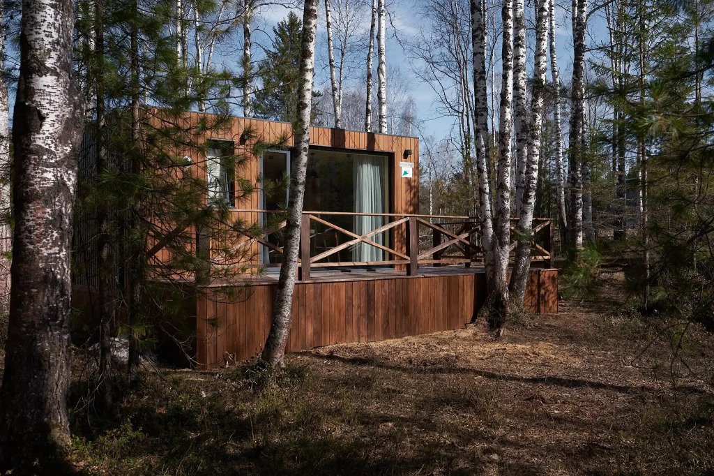 Снежные Гуси в Байкальске, Иркутская область: фото 3