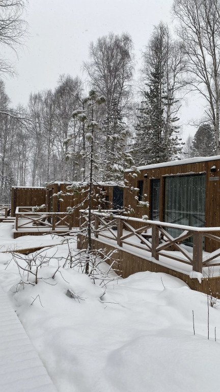 Снежные Гуси в Байкальске, Иркутская область: фото 5