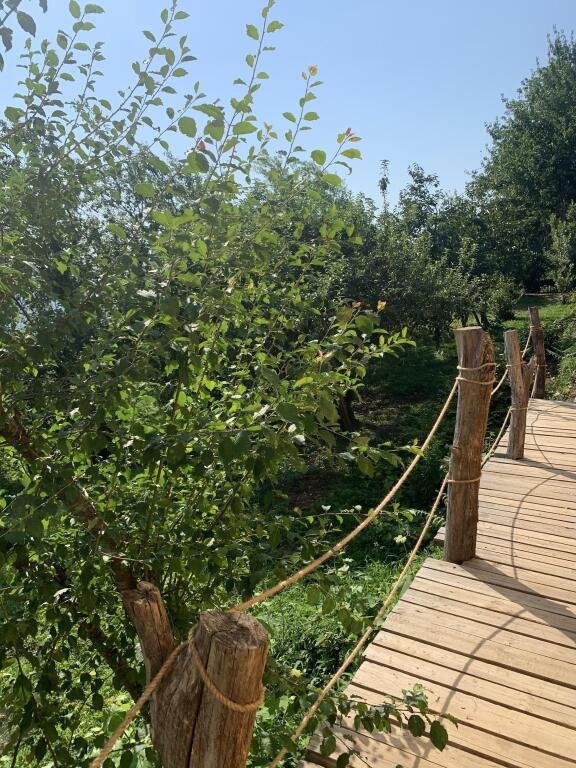 Кемпинг Эко Вилладж Сочи, Краснодарский край: фото 2