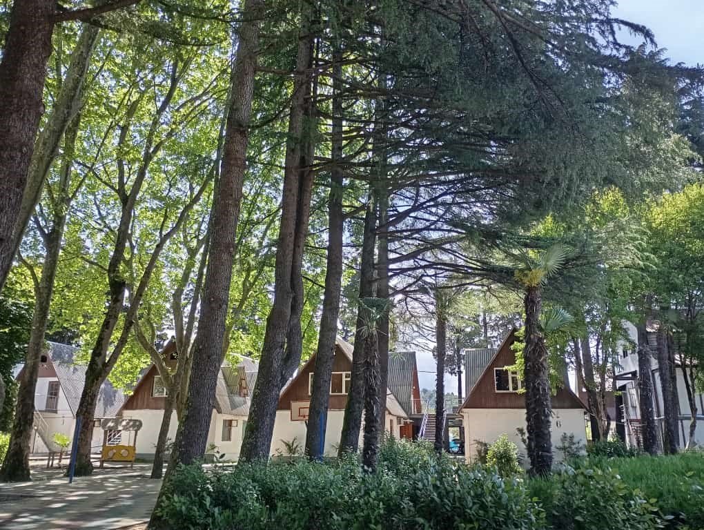 Эльбрус, Краснодарский край: фото 4