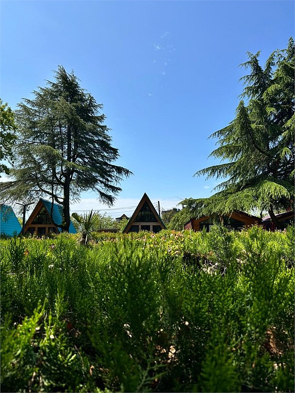 Эльбрус, Краснодарский край: фото 2