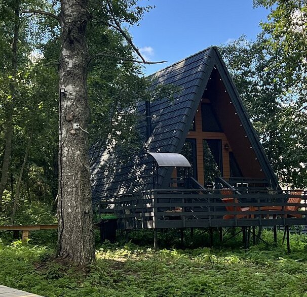 Избушки на опушке, Ленинградская область: фото 3