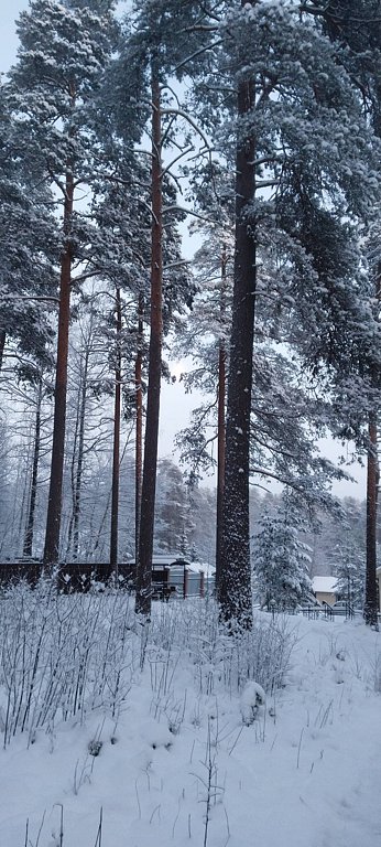 Фото из отзыва от 31.12.2025