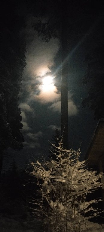 Фото из отзыва от 31.12.2025