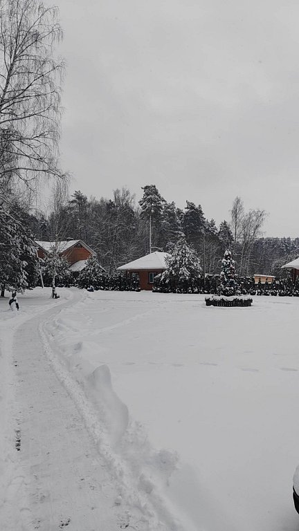 Фото из отзыва от 02.01.2026