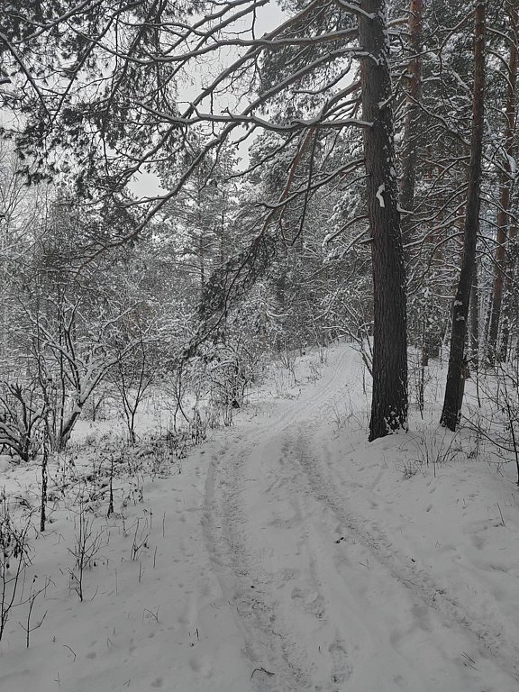 Фото из отзыва от 02.01.2026