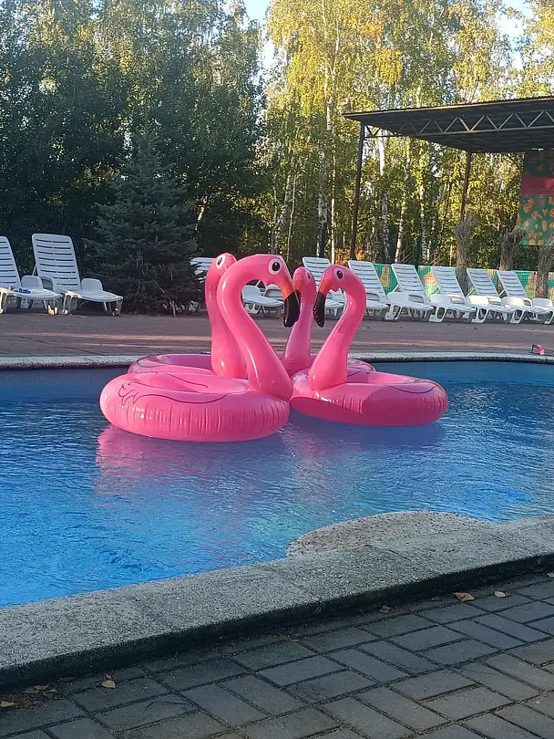 Волна, Челябинская область: фото 4