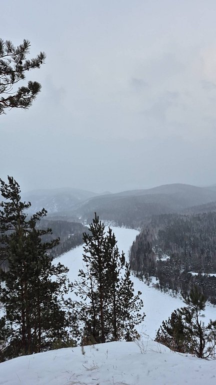 Фото из отзыва от 08.01.2026