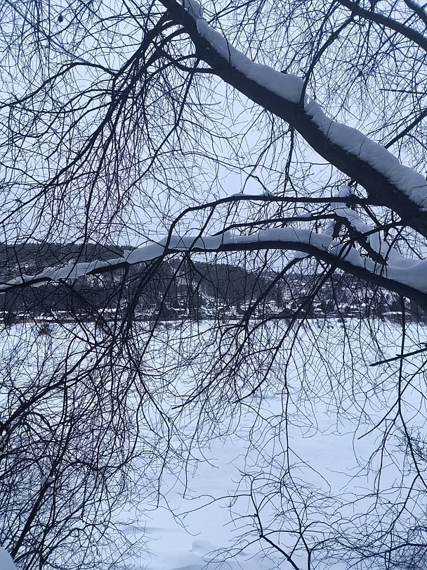 Фото 4 из отзыва о базе отдыха Дух Тайги