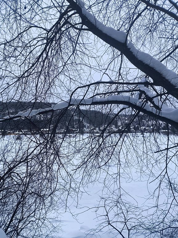 Фото из отзыва от 08.01.2026