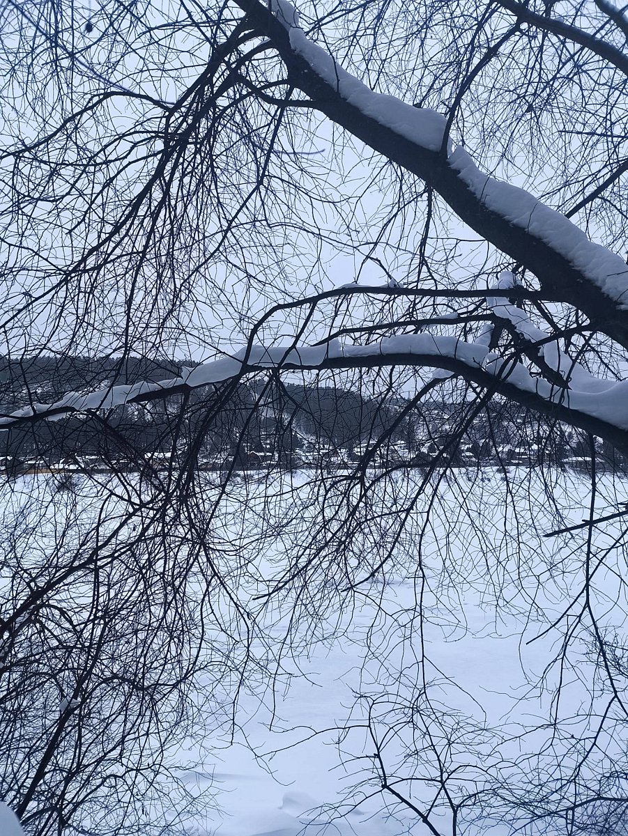 Фото 4 из отзыва о базе отдыха Дух Тайги