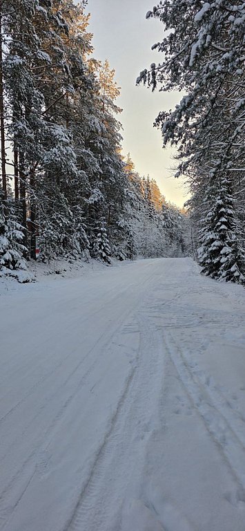 Фото из отзыва от 04.01.2026