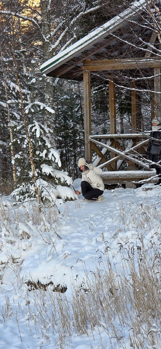 Фото 1 из отзыва о базе отдыха Арсенал