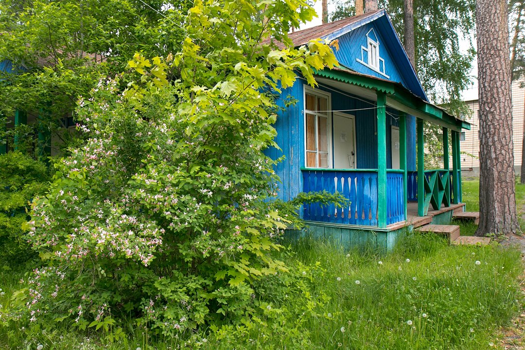 Прибрежный, Ульяновская область: фото 3