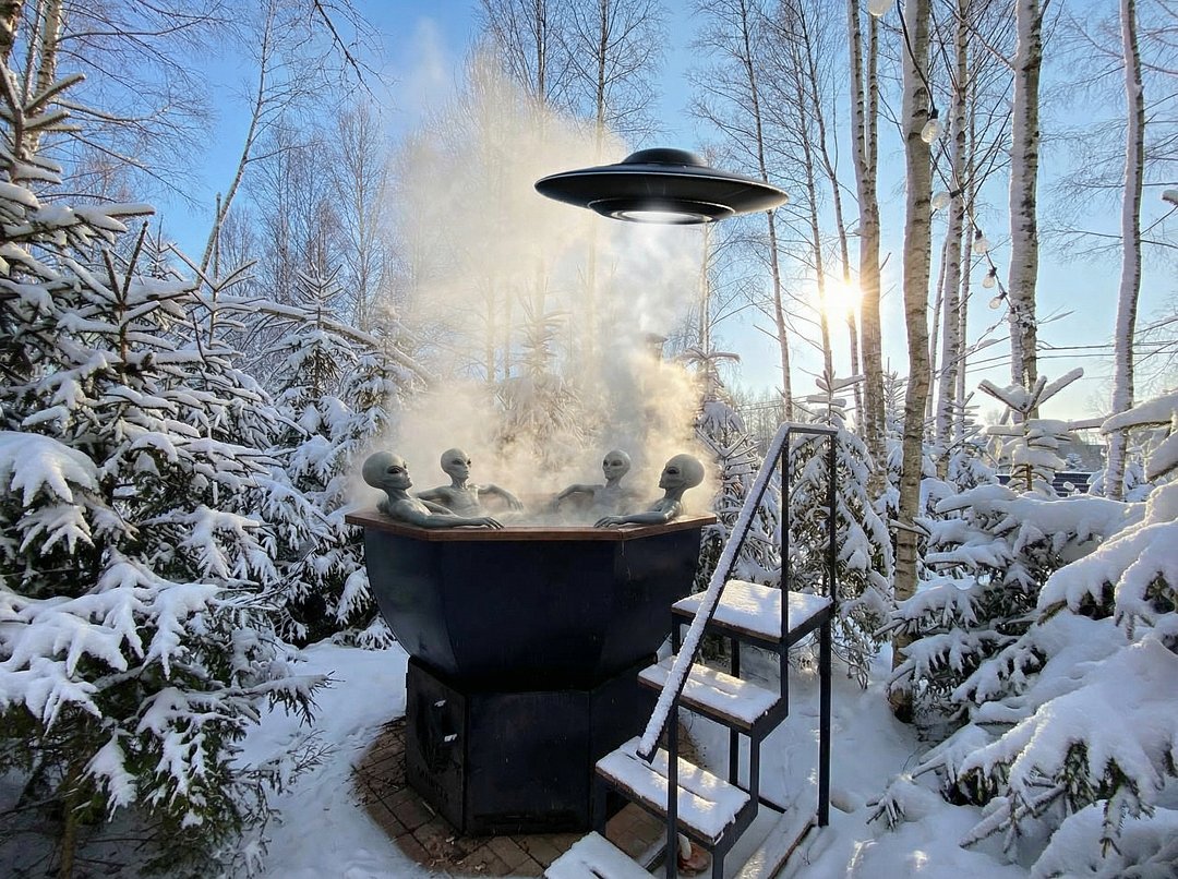 Загородный дом ЕлкиШале с баней и чаном у леса, Московская область, Клинский район 