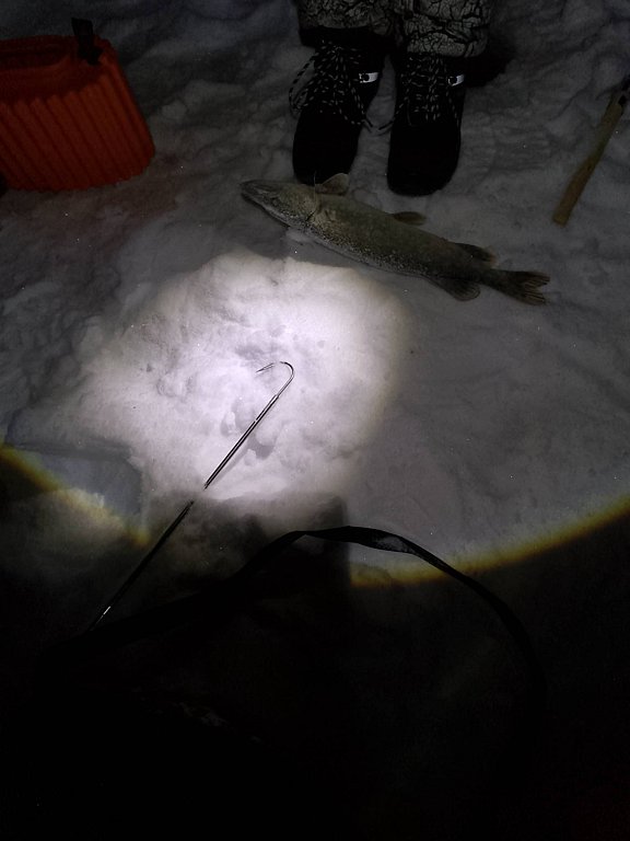 Фото из отзыва от 15.01.2026