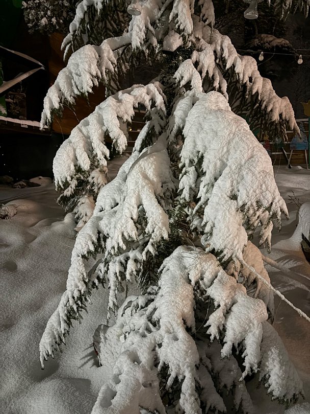 Фото 3 из отзыва о базе отдыха Тайга Дом