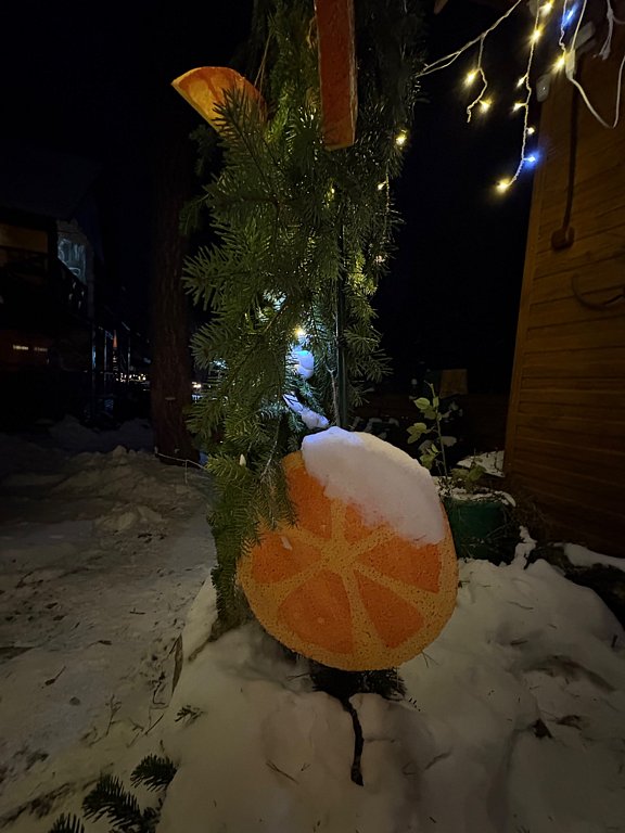 Фото из отзыва от 30.12.2025