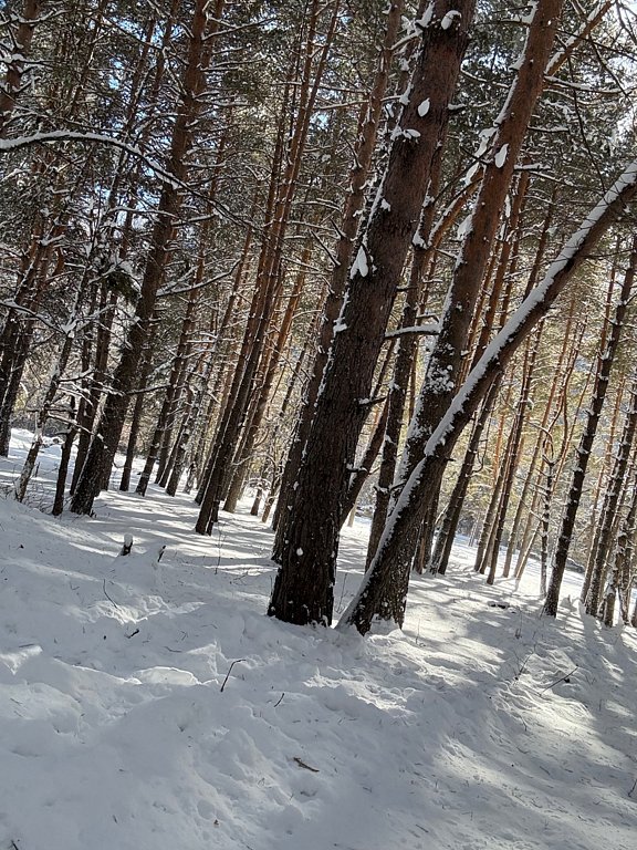 Фото из отзыва от 30.12.2025