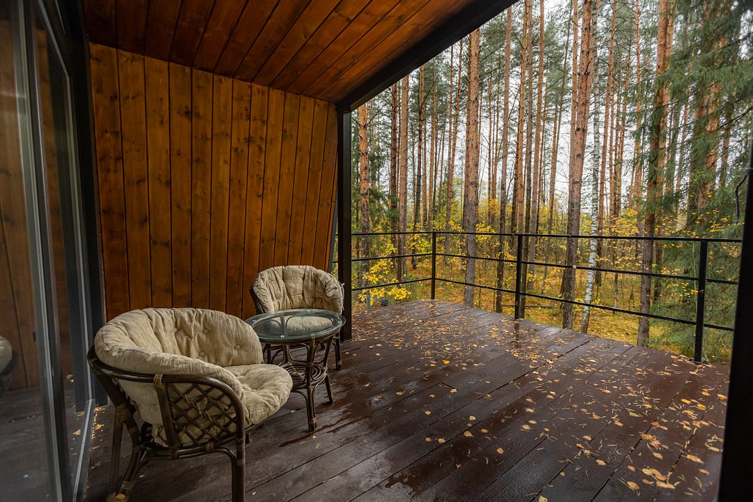 Вино и сосны, Владимирская область: фото 5