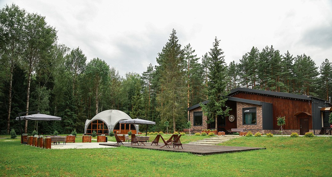 Вино и сосны, Владимирская область: фото 3