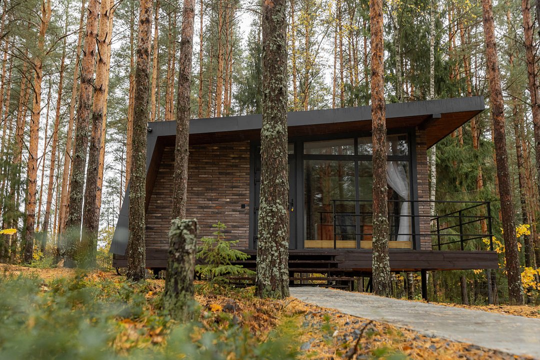 Вино и сосны, Владимирская область: фото 2