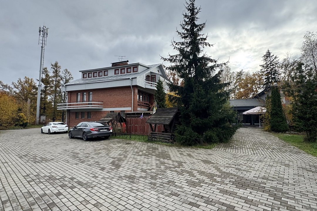 Лисья Нора, Ленинградская область: фото 3