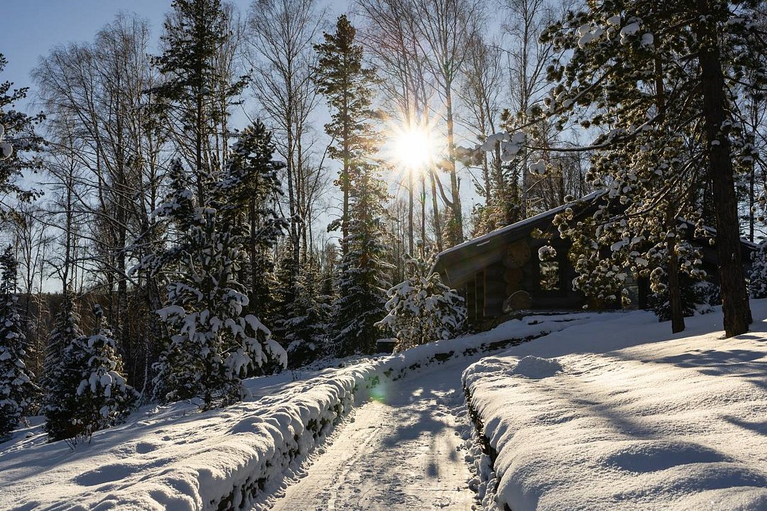 Премиальный курорт Алтай Рестарт, Алтайский край: фото 2