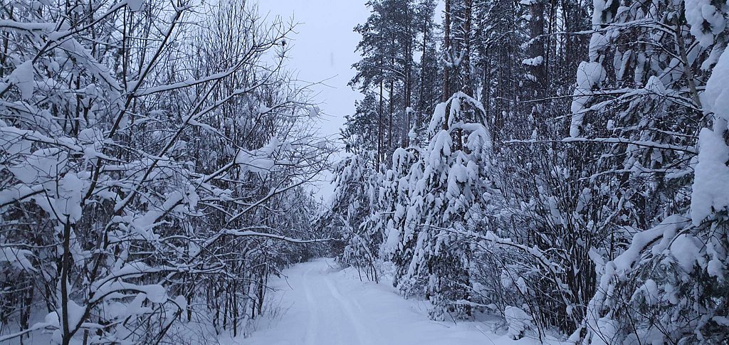 Фото из отзыва от 11.01.2026