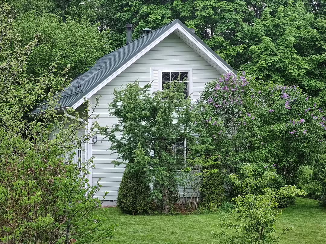 Ёкикюля, Ленинградская область: фото 3