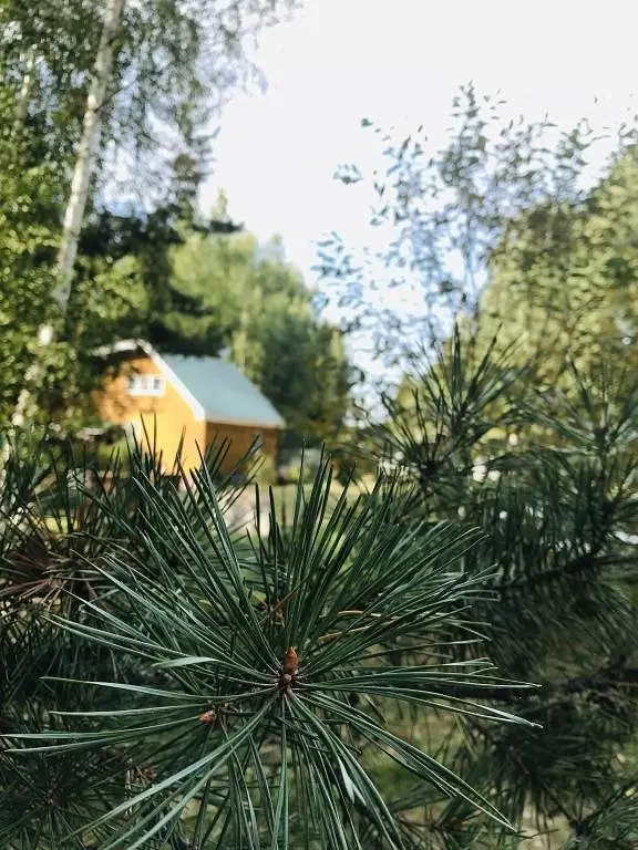 База отдыха Туристская база На Ватоме, Нижегородская область: фото 2