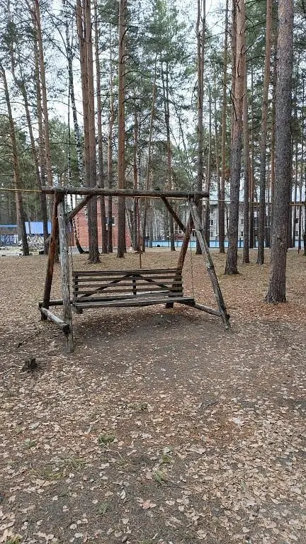 База отдыха ЦО Дружба-Ямал, Тюменская область: фото 3