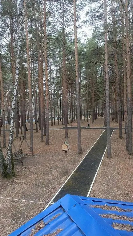 База отдыха ЦО Дружба-Ямал, Тюменская область: фото 5
