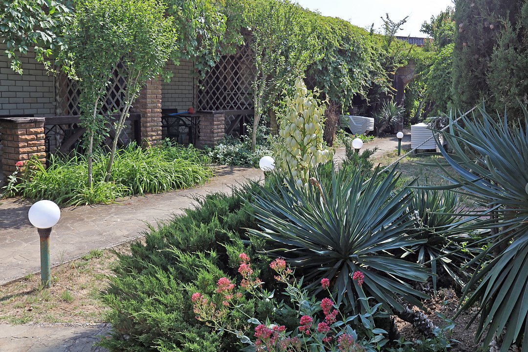 Казантип Центр, Крым: фото 5