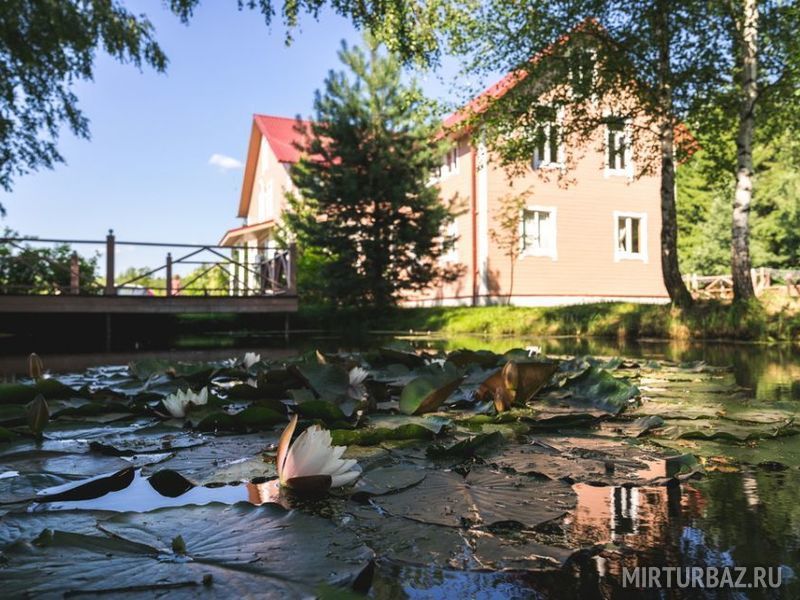 Фото алексино тверская область