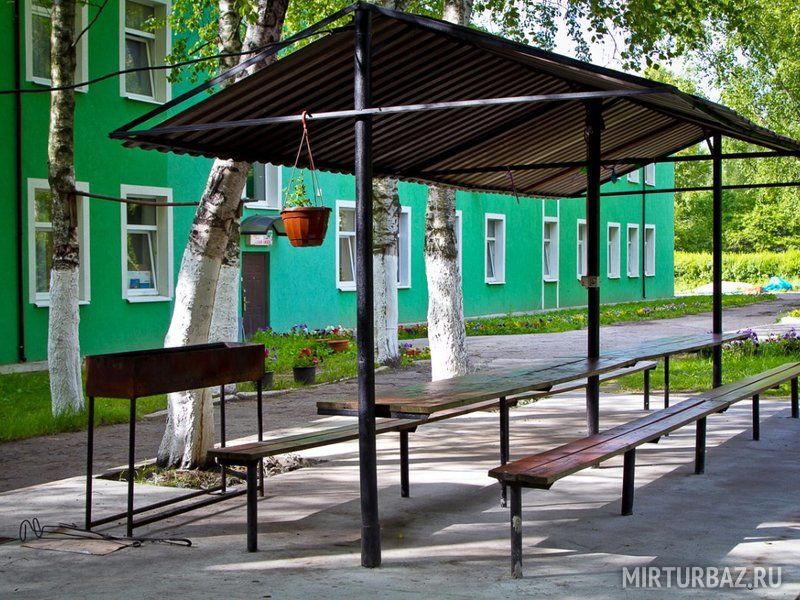 Лесная тишь, Калининградская область: фото 2