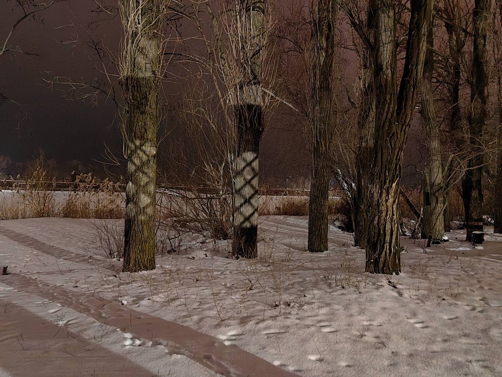 Фото из отзыва от 22.01.2026