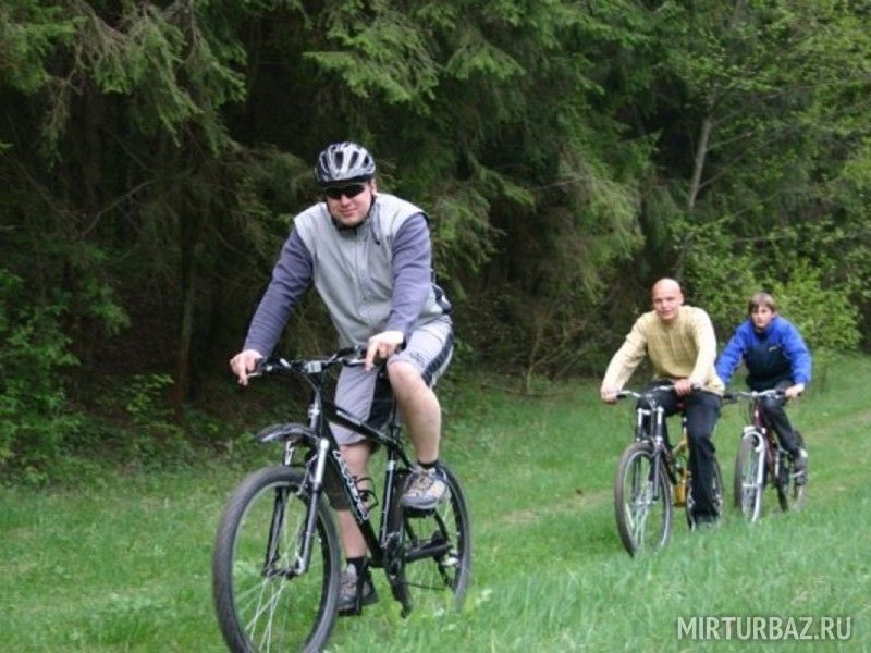 Велопрогулки по лесу