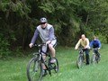 Велопрогулки по лесу