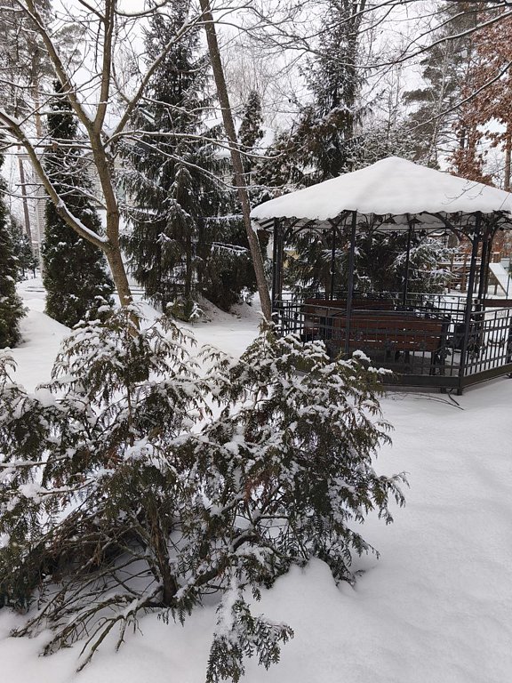 Фото из отзыва от 24.01.2026