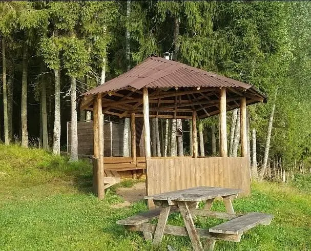 Чародейка, Новгородская область: фото 3