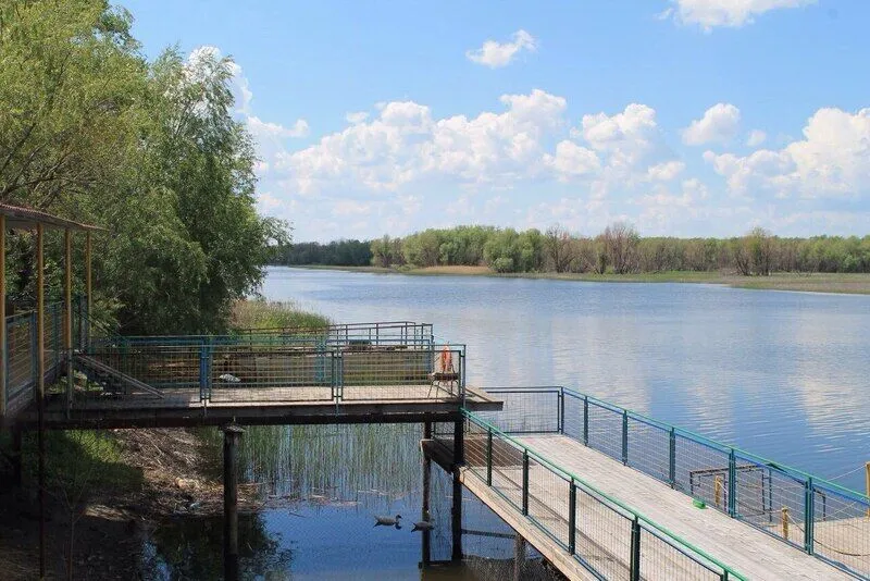 Золотая Рыбка, Волгоградская область: фото 5