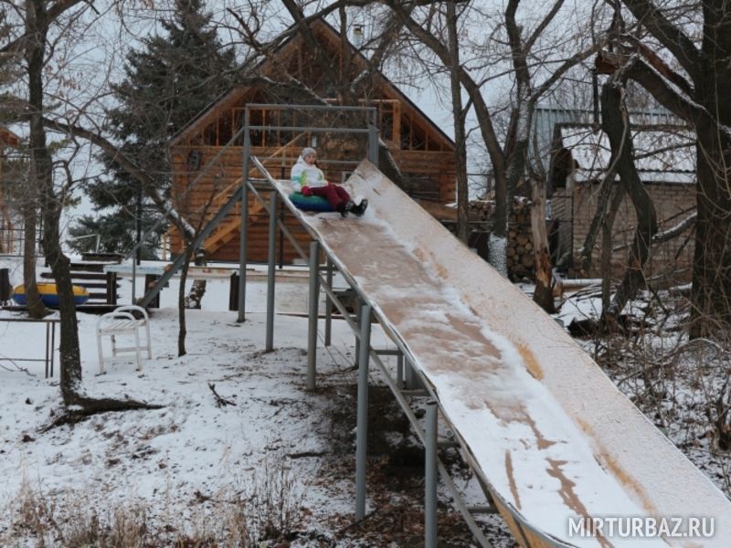 Дружба дубки. Дружба дубки. Дружба дубки. Лагерь дружба логотип. Дружба.