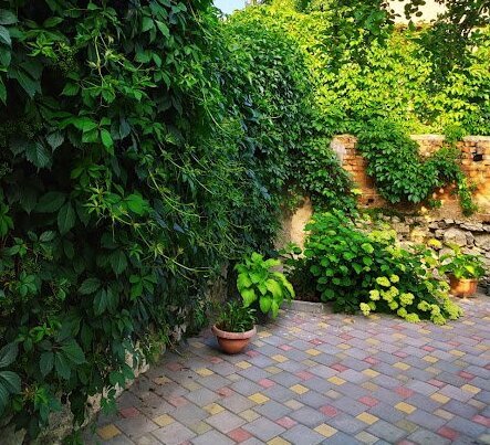 Дом с двумя спальнями в центре Пятигорска, Ставропольский край: фото 5